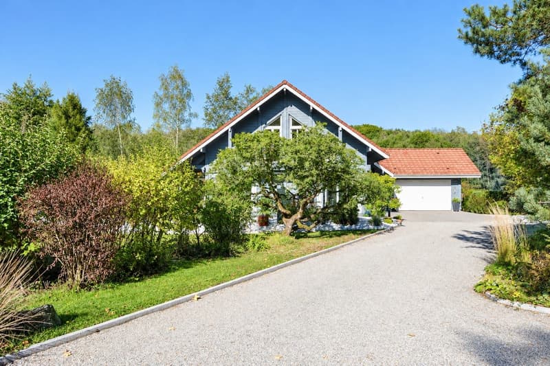 Contemporary 160 m² chalet on 1.56 hectares of land with equestrian facilities (10)