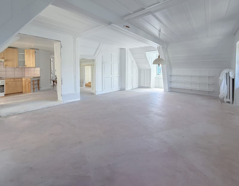 Grand salon lumineux