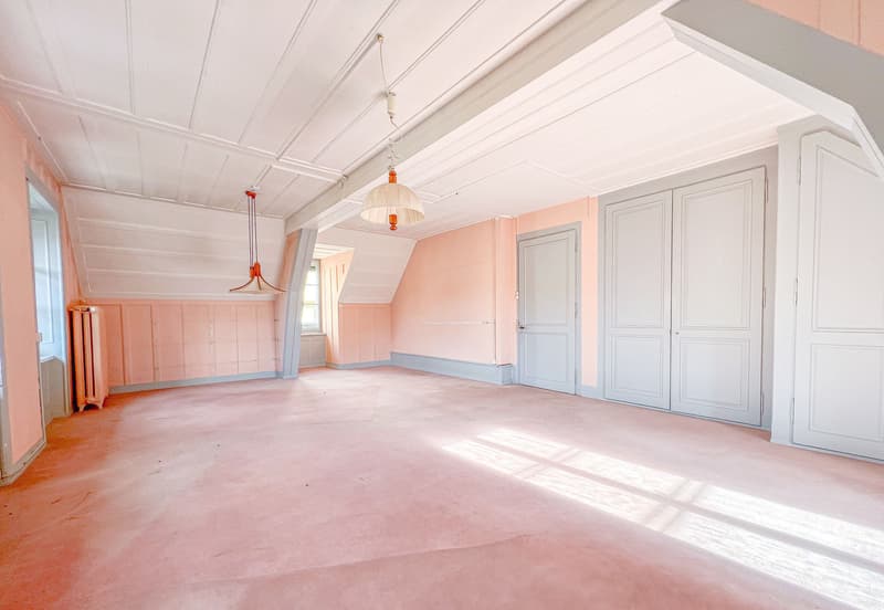 Grand salon lumineux