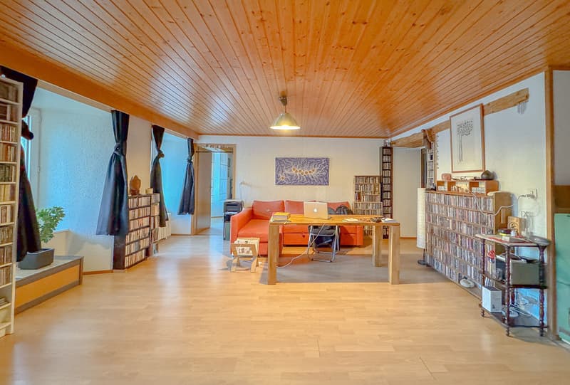 Appartement au rez inférieur - espace salon