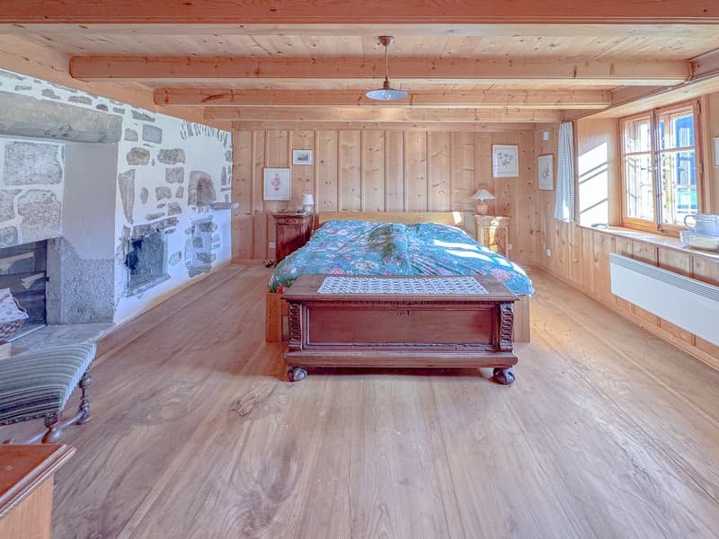 Grande chambre avec mur en pierre au rez