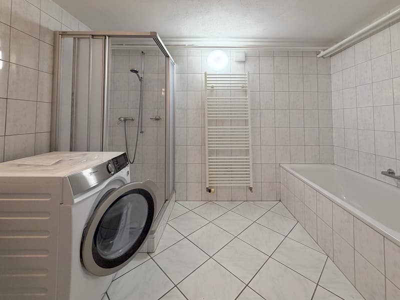 Rez-de-chaussée inférieur - salle d'eau