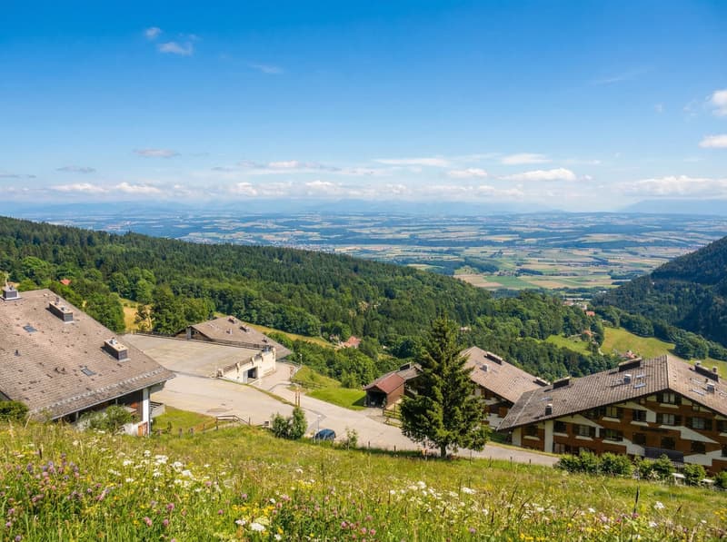 Magnifique vue depuis la Résidence