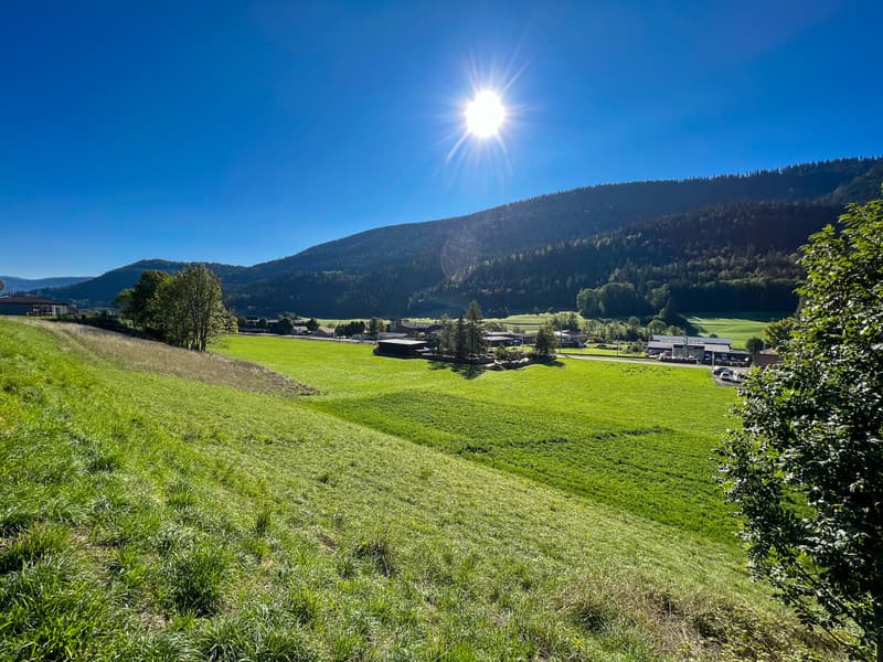 Vue du terrain