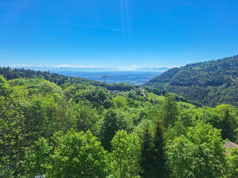 Magnifique vue depuis le balcon (exposition Sud)