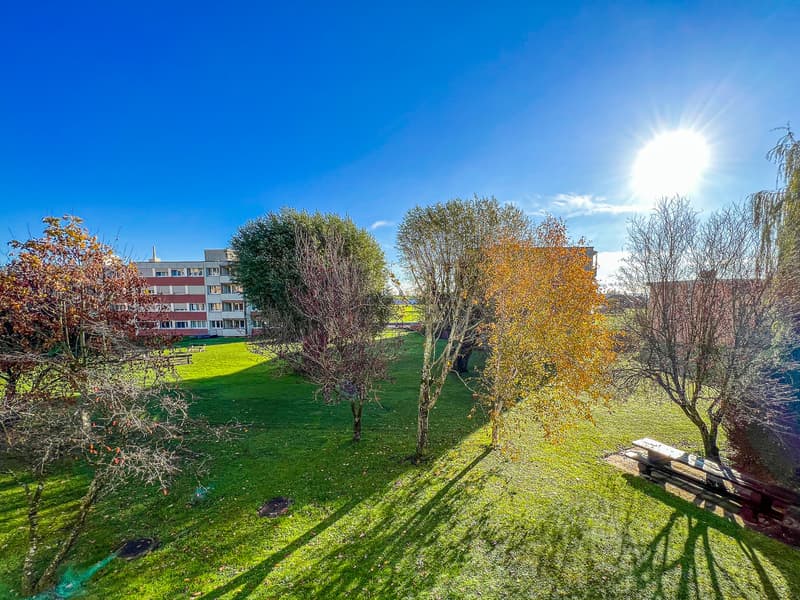 Vue depuis le balcon