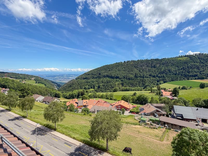 Vue depuis séjour
