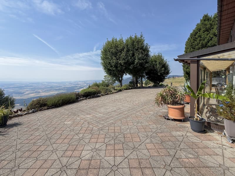 Rez-de-chaussée : terrasse