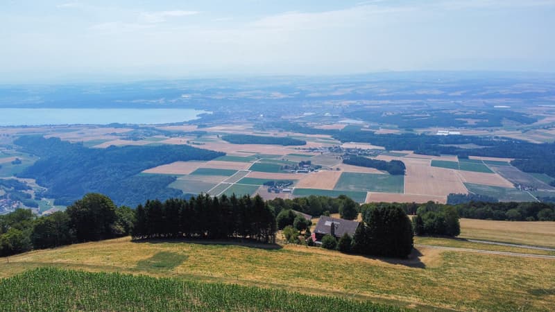 Vue aérienne