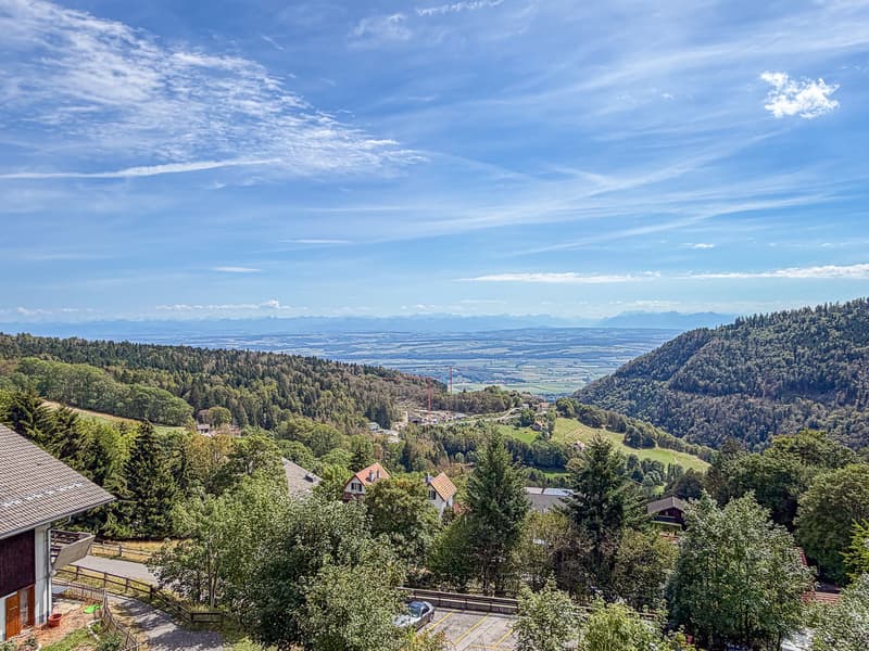 Magnifique vue depuis le balcon