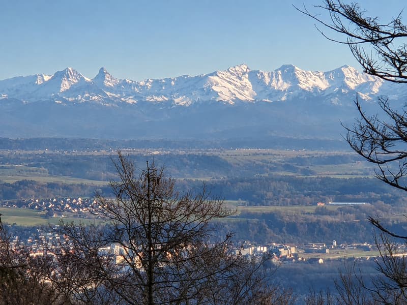 Vue sur les Alpes