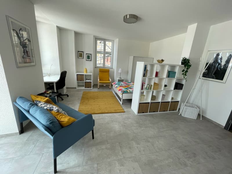 "Appartements Les Alpes" Studio meublé avec balcon (2)