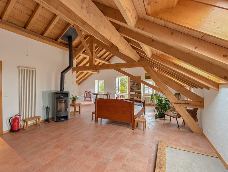 Combles - grand espace ouvert de 80 m2