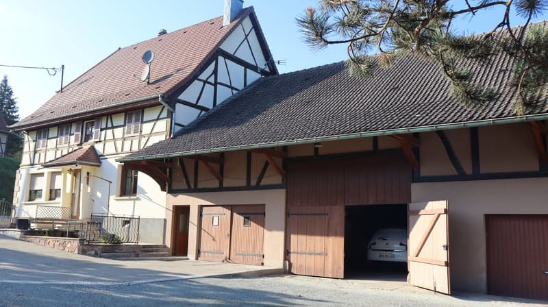 Maison Alsacienne à Saint-Ulrich avec étang / Vallée de la Largue (2)