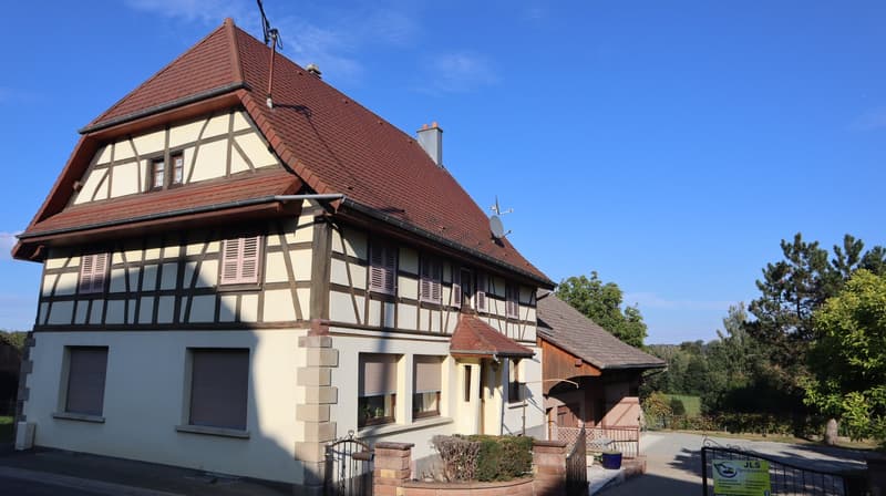 Maison Alsacienne à Saint-Ulrich avec étang / Vallée de la Largue (1)