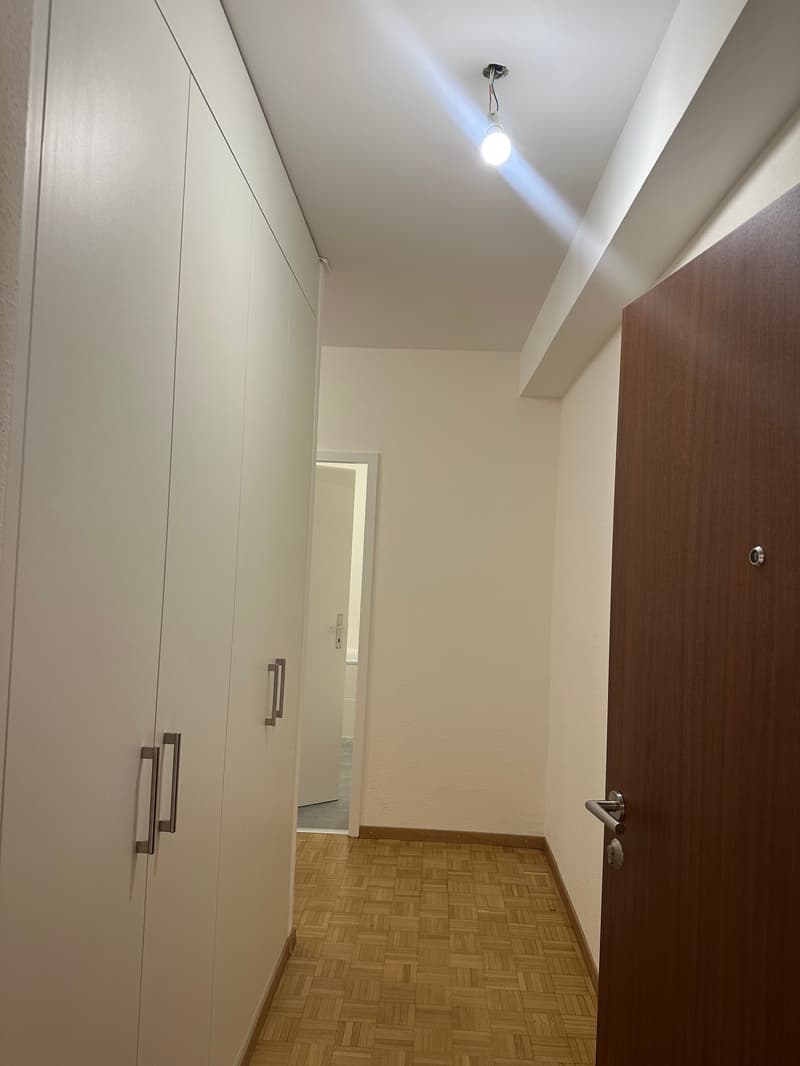 Appartement de 2,5 pièces rénové à Genève – Av. De-Luserna (5)