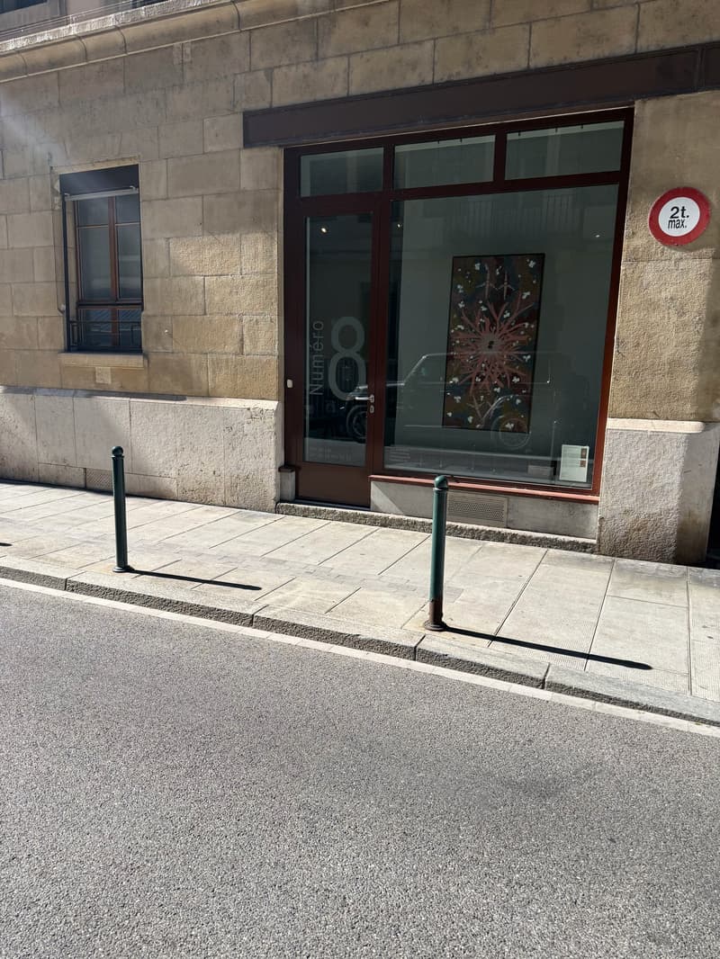 Espace commercial moderne à louer – Rue du Lac 8, Genève 1207 (1)