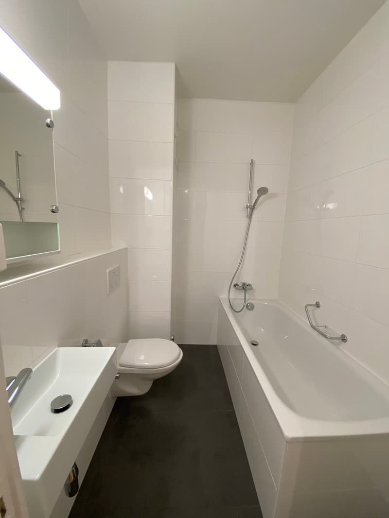 Appartement de 3 pièces au 3ème étage (5)