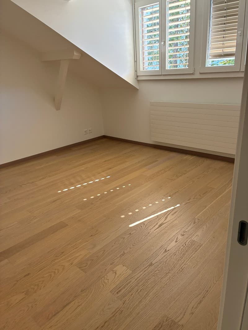 Appartement en attique de 3,5 pièces Place du Petit-Saconnex 3 (4)