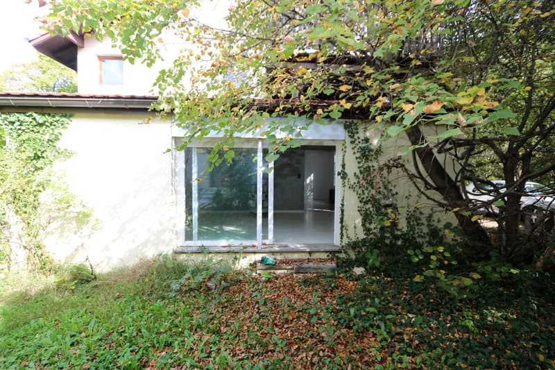 A single-story white house with a small window, a glass door, and a roof covered with trees. The area in front of the house is surrounded by a lot of plants and trees, and a car is parked behind it.