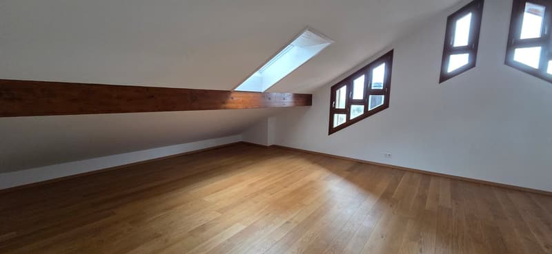 Superbe et unique appartement duplex en attique à Bernex (9)
