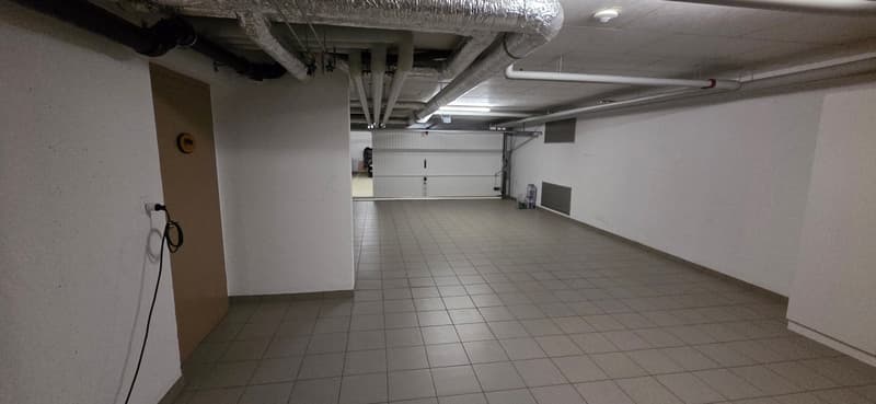 Superbe et unique appartement duplex en attique à Bernex (14)