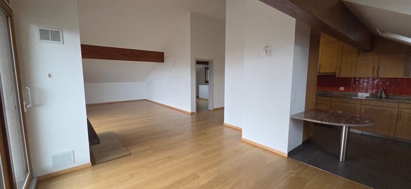 Superbe et unique appartement duplex en attique à Bernex (6)