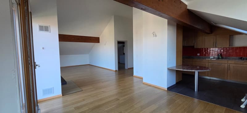 Superbe et unique appartement duplex en attique à Bernex (5)