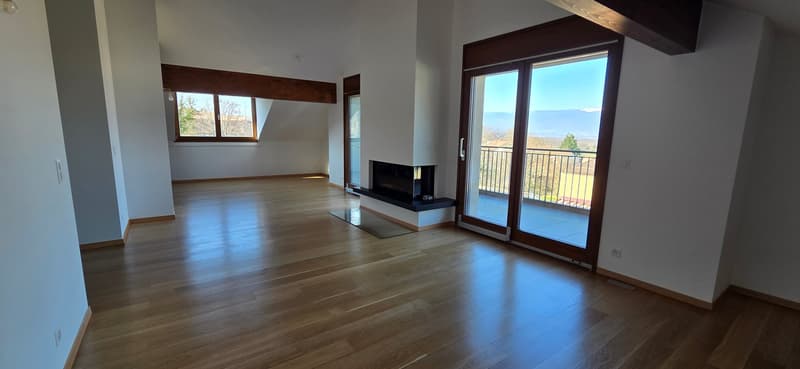 Superbe et unique appartement duplex en attique à Bernex (2)