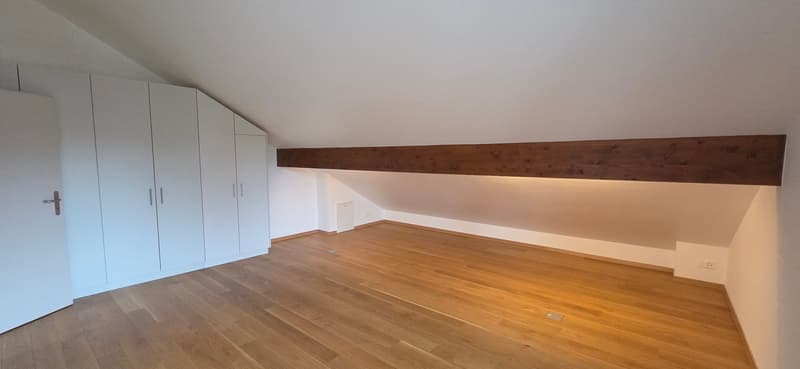 Superbe et unique appartement duplex en attique à Bernex (7)