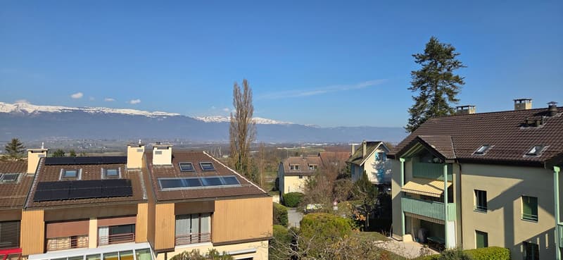 Superbe et unique appartement duplex en attique à Bernex (3)