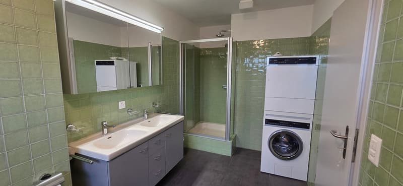 Superbe et unique appartement duplex en attique à Bernex (13)