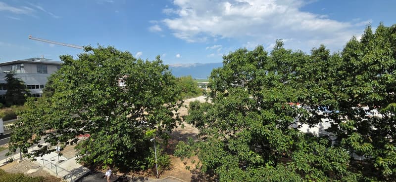 Spacieux appartement de 5 pièces avec vue et balcon à Meyrin (1)