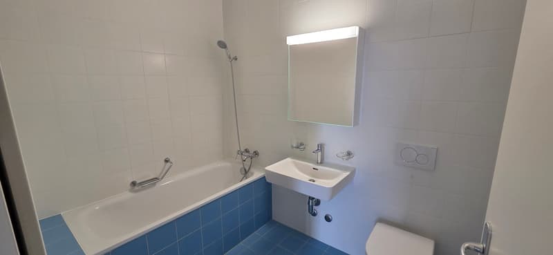 Spacieux appartement de 5 pièces avec vue et balcon à Meyrin (9)