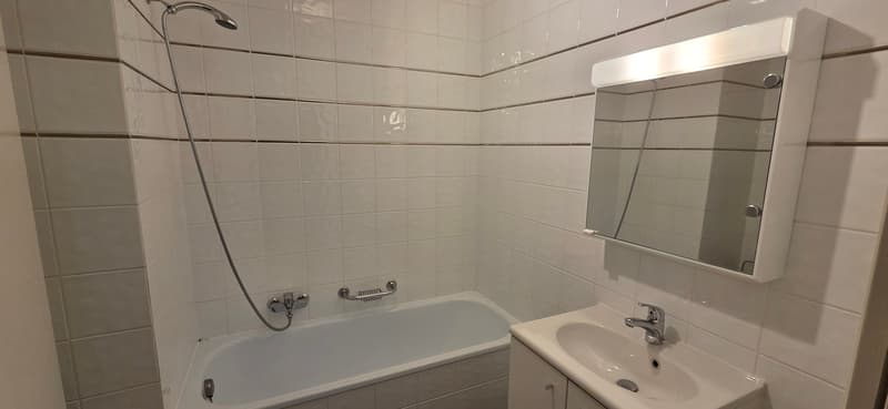 Gradelle 18, Appartement de 2 pièces au 3ème. (5)