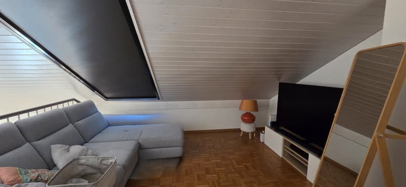 Satigny, au calme, grand duplex a vendre (9)