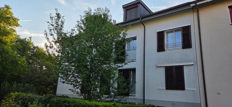 Satigny, au calme, grand duplex a vendre (3)