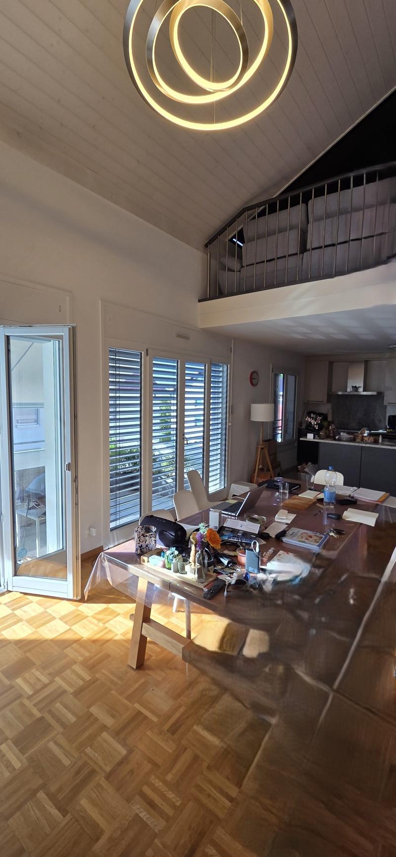 Satigny, au calme, grand duplex a vendre (7)