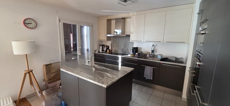 Satigny, au calme, grand duplex a vendre (6)