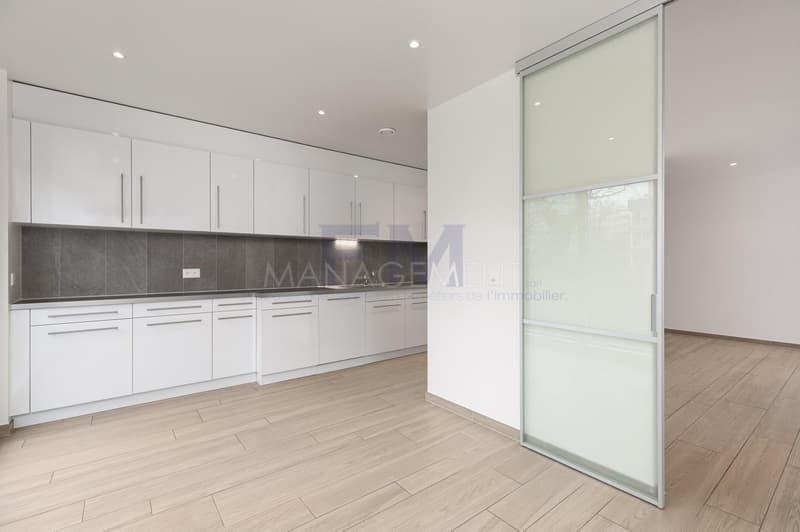 Ch. du Velours, Appartement 9 pièces au 3ème étage (3)