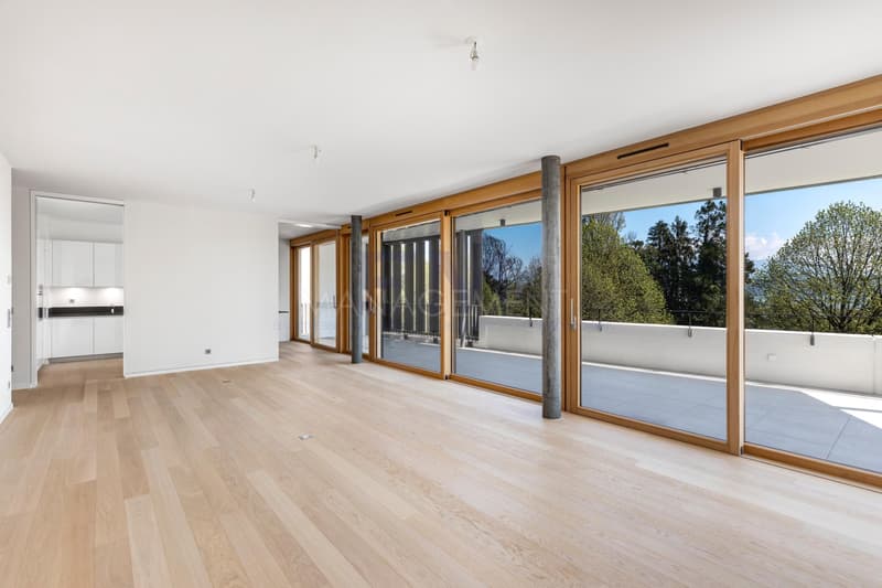 Appartement en attique d'environ 170m2 PPE avec grande terrasse en toiture (6)
