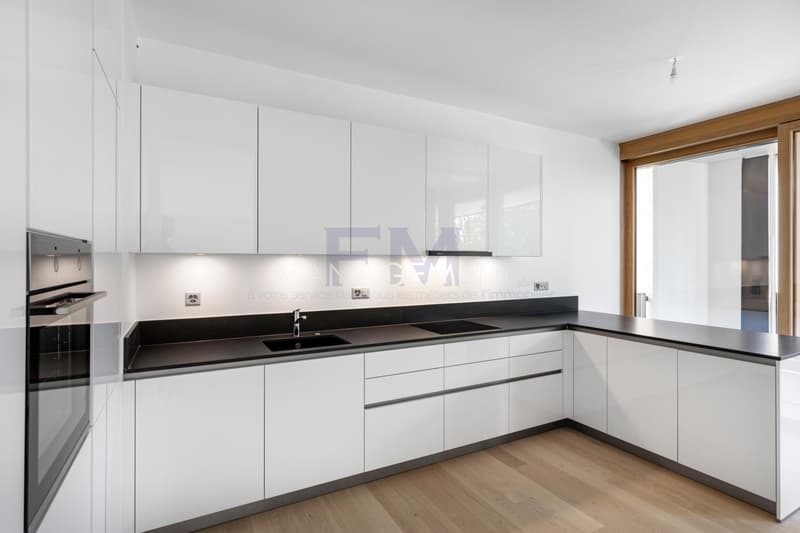 Appartement en attique d'environ 170m2 PPE avec grande terrasse en toiture (5)