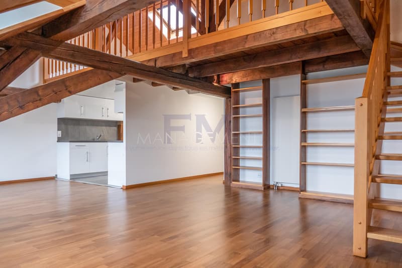 Centre Ville - Appartement - Boulevard Helvétique - 3.5 pièces au 5ème étage (3)