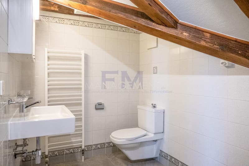 Centre Ville - Appartement - Boulevard Helvétique - 3.5 pièces au 5ème étage (10)