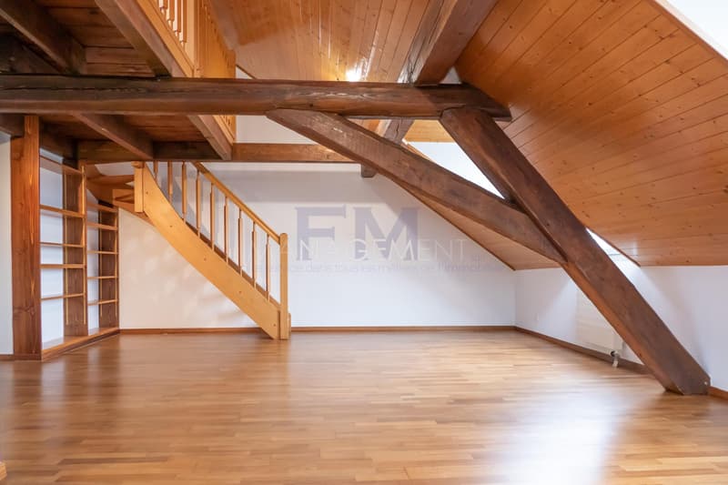 Centre Ville - Appartement - Boulevard Helvétique - 3.5 pièces au 5ème étage (4)