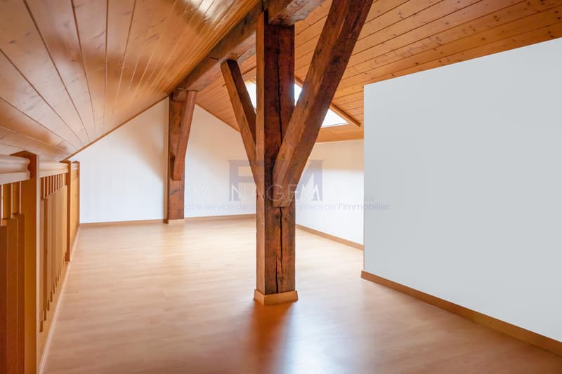 Centre Ville - Appartement - Boulevard Helvétique - 3.5 pièces au 5ème étage (6)