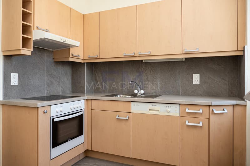 Florissant, Bvd des Tranchées, 4 pcs, 3ème étage, env 90m2 (1)
