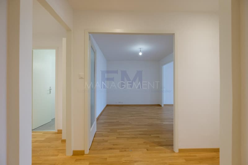 Servette, Avenue de Luserna, 4 pièces au 5ème étage, env 95m2 (7)