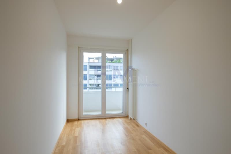 Servette, Avenue de Luserna, 4 pièces au 5ème étage, env 95m2 (5)