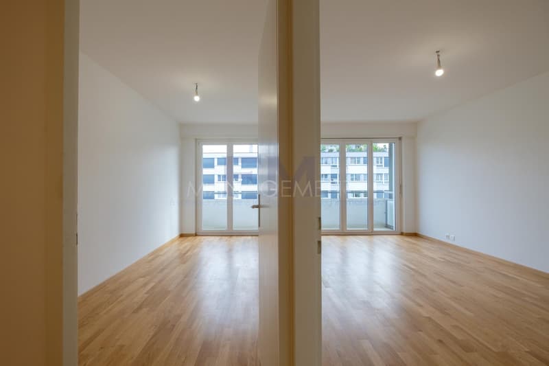 Servette, Avenue de Luserna, 4 pièces au 5ème étage, env 95m2 (4)